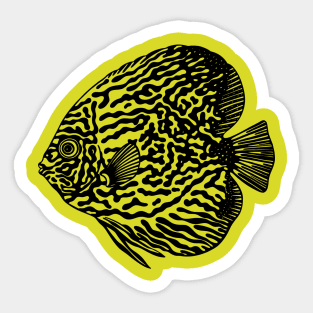 Pompadour or Discus Fish - aquarists fish design Sticker